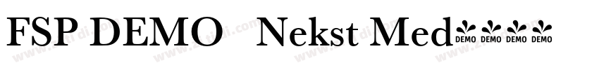 FSP DEMO   Nekst Med字体转换